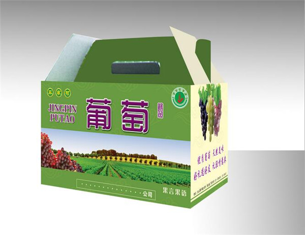 陝西包裝紙(zhi)箱 陝(shan)西包裝紙箱(xiāng)