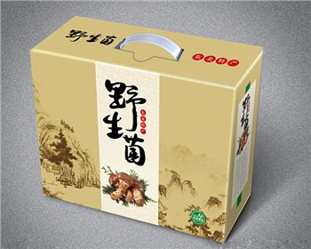 紙箱(xiang)印版的種類(lèi)和特性